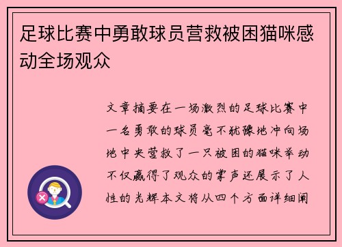 足球比赛中勇敢球员营救被困猫咪感动全场观众