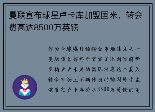 曼联宣布球星卢卡库加盟国米，转会费高达8500万英镑